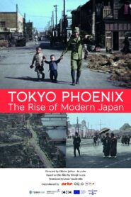 Tokyo Phoenix 2017 one on netflix