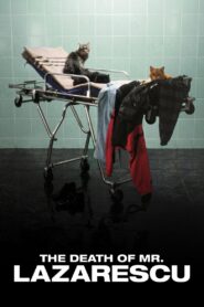 The Death of Mr. Lazarescu 2005 one on netflix