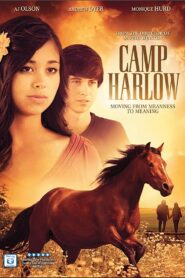 Camp Harlow 2014 one on netflix
