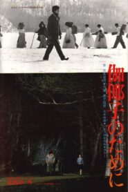 For Kayako 1984 one on netflix