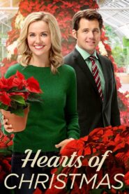 Hearts of Christmas 2016 one on netflix