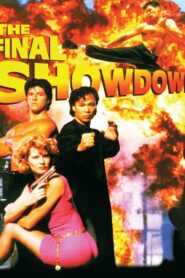 The Final Showdown 1993 one on netflix