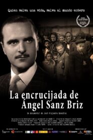 La encrucijada de Ángel Sanz Briz 2015 one on netflix