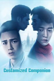 Customized Companion 2017 one on netflix