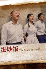 The Story of David 2011 one on netflix