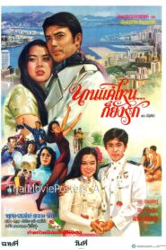 นานแค่ไหนก็ยังรัก 1981 one on netflix
