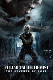 Fullmetal Alchemist: The Revenge of Scar 2022 one on netflix