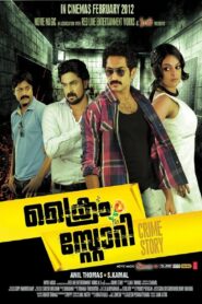 Crime story 2012 one on netflix