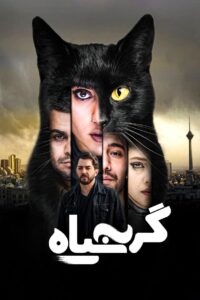The Black Cat 2021 one on netflix