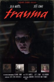 Trauma 2024 one on netflix