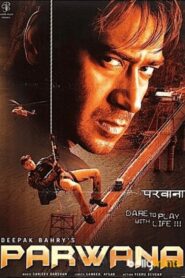 Parwana 2003 one on netflix