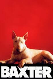 Baxter 1989 one on netflix