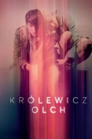 The Erlprince 2016 one on netflix