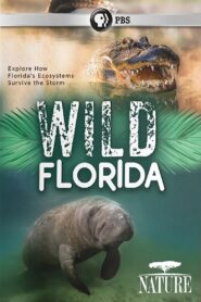 Wild Florida 2020 one on netflix