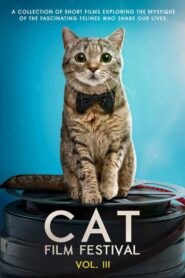Cat Film Festival Vol. 3 2020 one on netflix