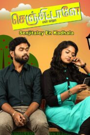 Senjittale En Kadhala 2017 one on netflix