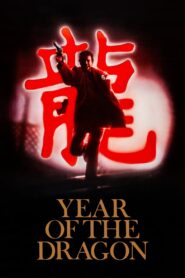 Year of the Dragon 1985 one on netflix