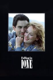 Falling in Love 1984 one on netflix