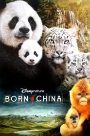 Born in China 2016 one on netflix