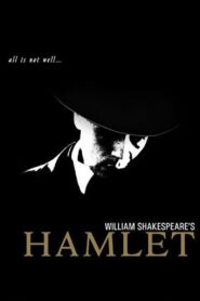 Hamlet 2012 one on netflix