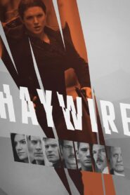 Haywire 2011 one on netflix