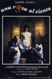 A Rose in the Wind 1984 one on netflix