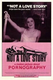 Not a Love Story: A Film About Pornography 1981 one on netflix
