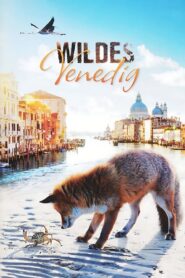 Wild Venice 2014 one on netflix