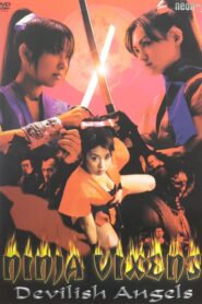 Ninja Vixens: Devilish Angels 2002 one on netflix