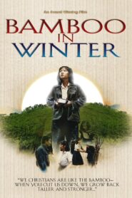 Bamboo In Winter 1991 one on netflix