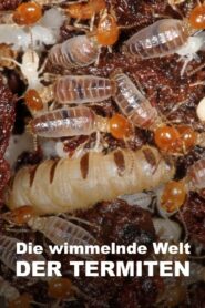 The World According to Termites 2018 one on netflix