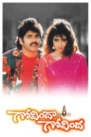 Govindha Govindha 1993 one on netflix