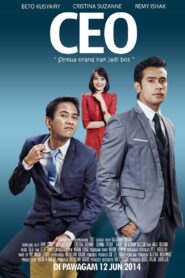 CEO 2014 one on netflix