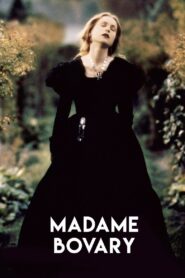 Madame Bovary 1991 one on netflix