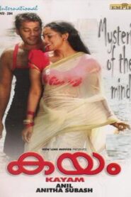 Kayam 2011 one on netflix