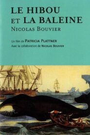 Le Hibou et la baleine, Nicolas Bouvier 1993 one on netflix