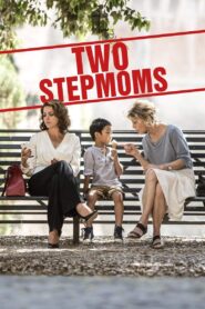 Two Stepmoms 2016 one on netflix