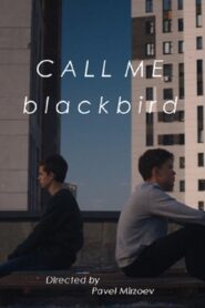 Call Me Blackbird 2020 one on netflix