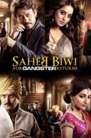 Saheb Biwi Aur Gangster Returns 2013 one on netflix
