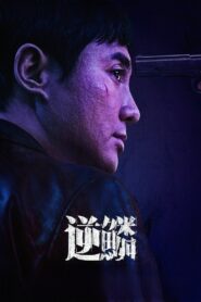 Untouchable 2024 one on netflix