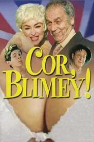 Cor, Blimey! 2000 one on netflix