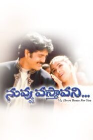 Nuvvu Vastavani 2000 one on netflix