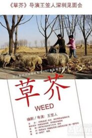 Weed 2006 one on netflix