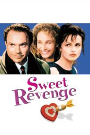 The Revengers’ Comedies 1998 one on netflix