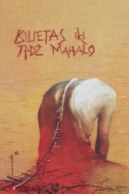 Ticket to the Taj Mahal 1991 one on netflix