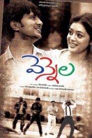 Vennela 2005 one on netflix