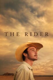 The Rider 2018 one on netflix
