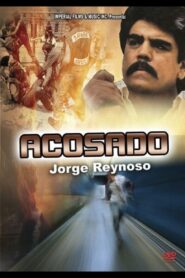 Acosado 1991 one on netflix