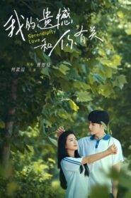 Serendipity Love 2022 one on netflix