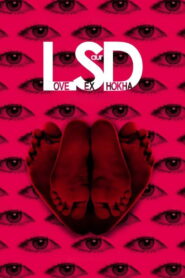 LSD: Love, Sex aur Dhokha 2010 one on netflix